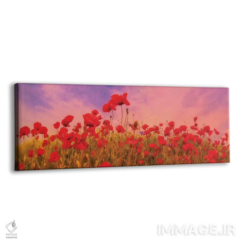 تابلو مزرعه شقایق رؤیایی در غروب اثر ملانی ویولا - نمای پرسپکتیو محصول