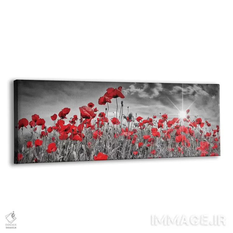 تابلو دشت دلانگیز شقایق با خورشید (پانوراما) اثر ملانی ویولا - نمای پرسپکتیو محصول