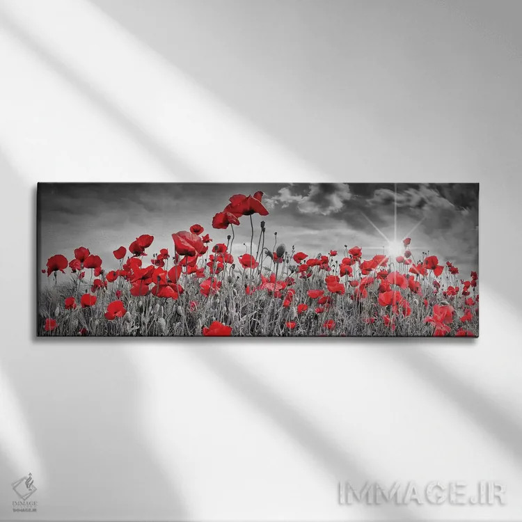تابلو دشت دلانگیز شقایق با خورشید (پانوراما) اثر ملانی ویولا - نمای روبهرو روی دیوار