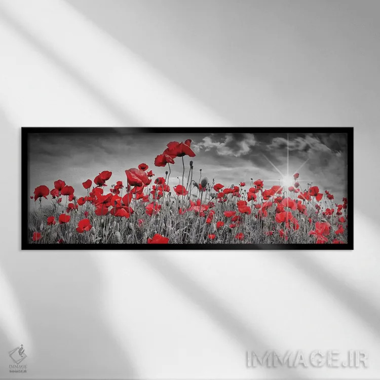 تابلو دشت دلانگیز شقایق با خورشید (پانوراما) اثر ملانی ویولا - نمای قابدار مشکی