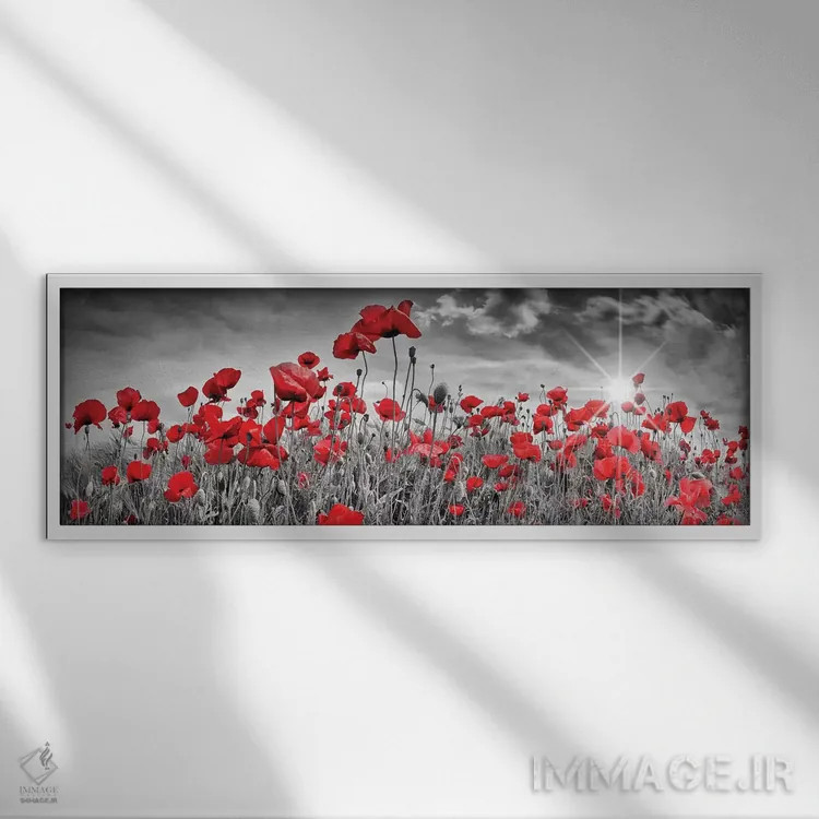 تابلو دشت دلانگیز شقایق با خورشید (پانوراما) اثر ملانی ویولا - نمای قابدار سفید