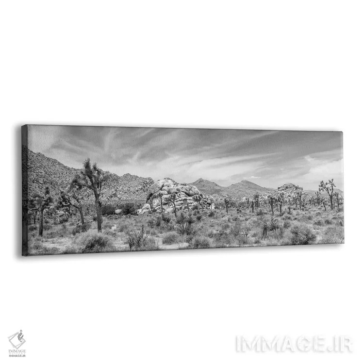 تابلو پانورامای دیدنی (تکرنگ) اثر ملانی ویولا - نمای پرسپکتیو محصول