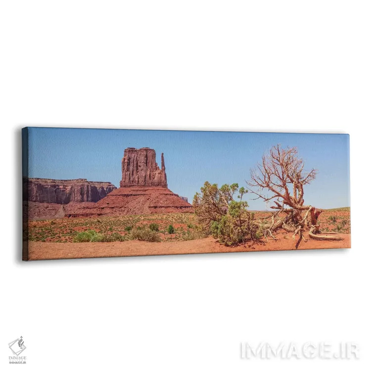 تابلو سنیتینل مسا و وست میتن بیوت، دره یادبود اثر ملانی ویولا - نمای پرسپکتیو محصول