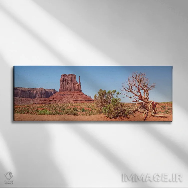 تابلو سنیتینل مسا و وست میتن بیوت، دره یادبود اثر ملانی ویولا - نمای روبهرو روی دیوار