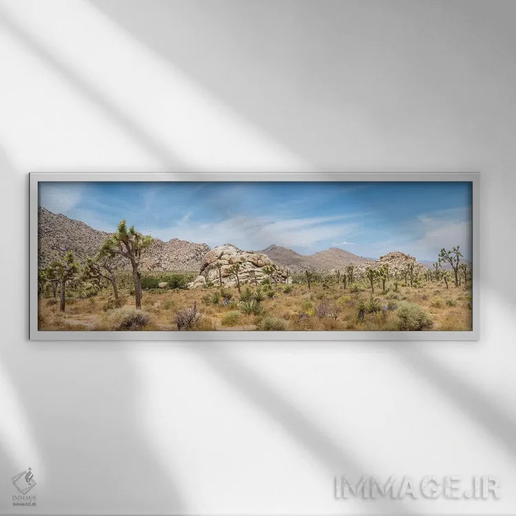 تابلو پانورامای دیدنی اثر ملانی ویولا - نمای قابدار سفید