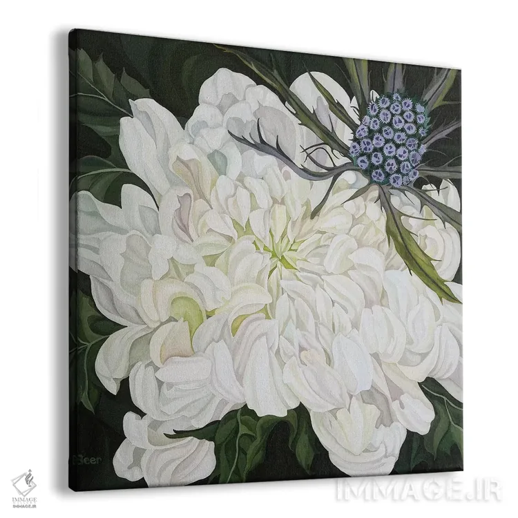 تابلو داوودی با خارمریم کریسمس اثر جو بیر - نمای پرسپکتیو محصول