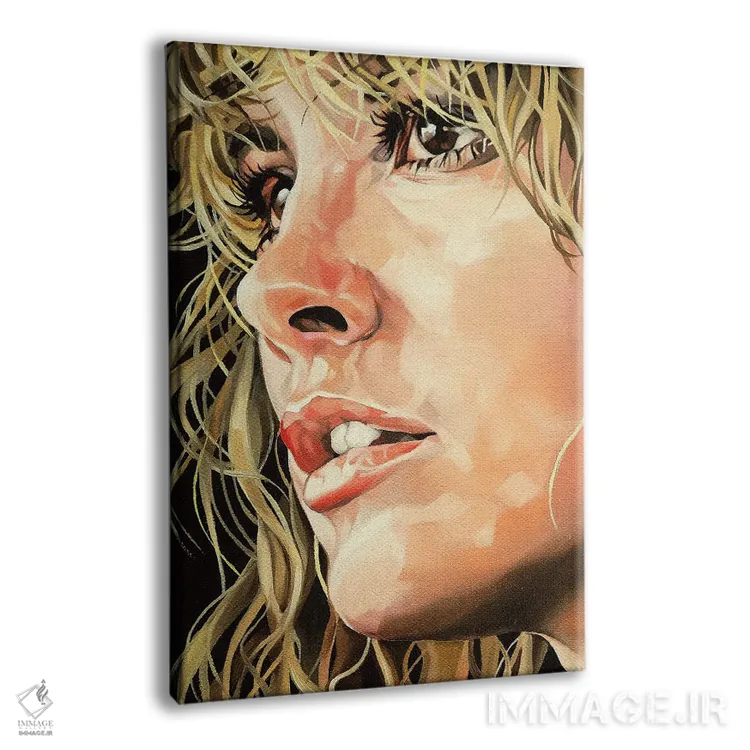 تابلو استیوی نیکس (موزیسین) اثر جو بیر - نمای پرسپکتیو محصول