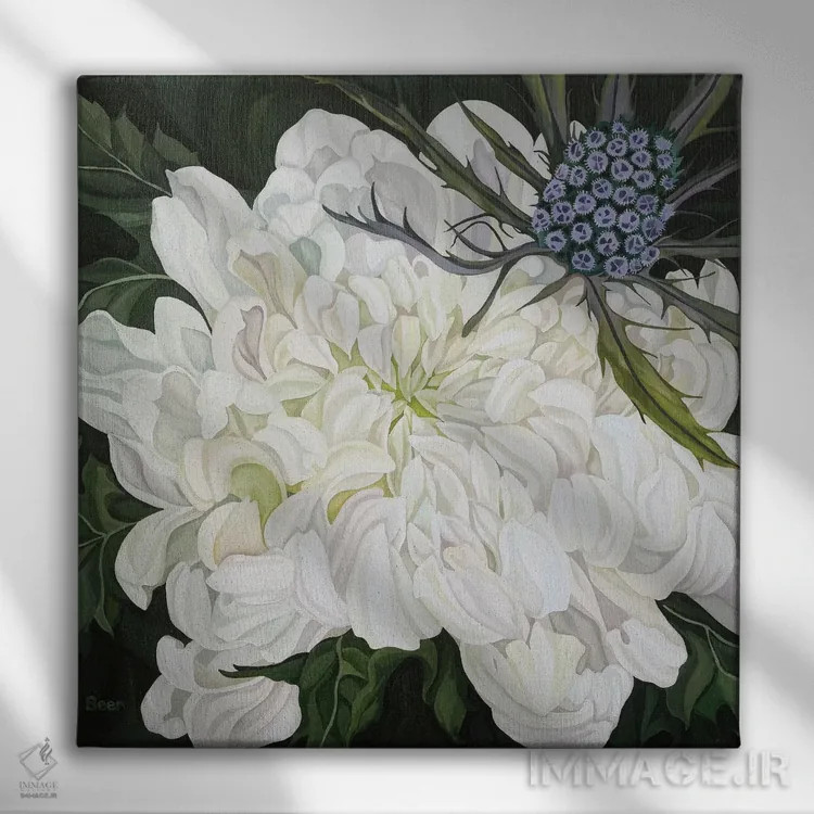 تابلو داوودی با خارمریم کریسمس اثر جو بیر - نمای روبهرو روی دیوار