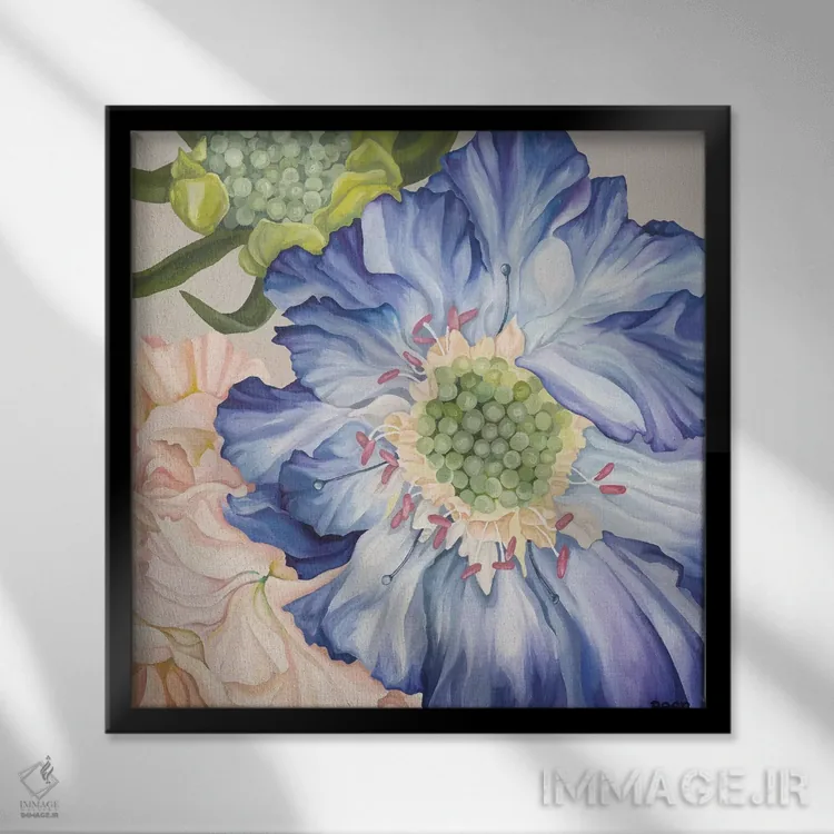 تابلو اسکابوئوس و صورتیها (گل) اثر جو بیر - نمای قابدار مشکی