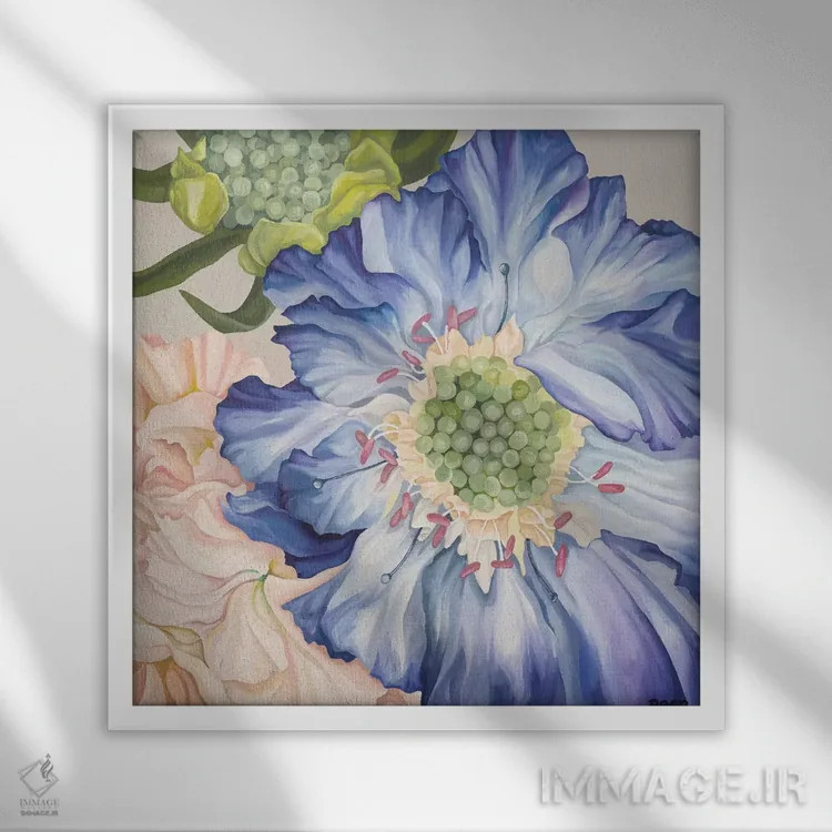 تابلو اسکابوئوس و صورتیها (گل) اثر جو بیر - نمای قابدار سفید