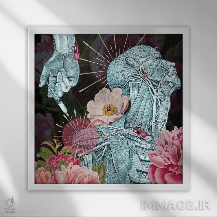 تابلو گلولهخورده اثر امی سالمونه - نمای قابدار سفید