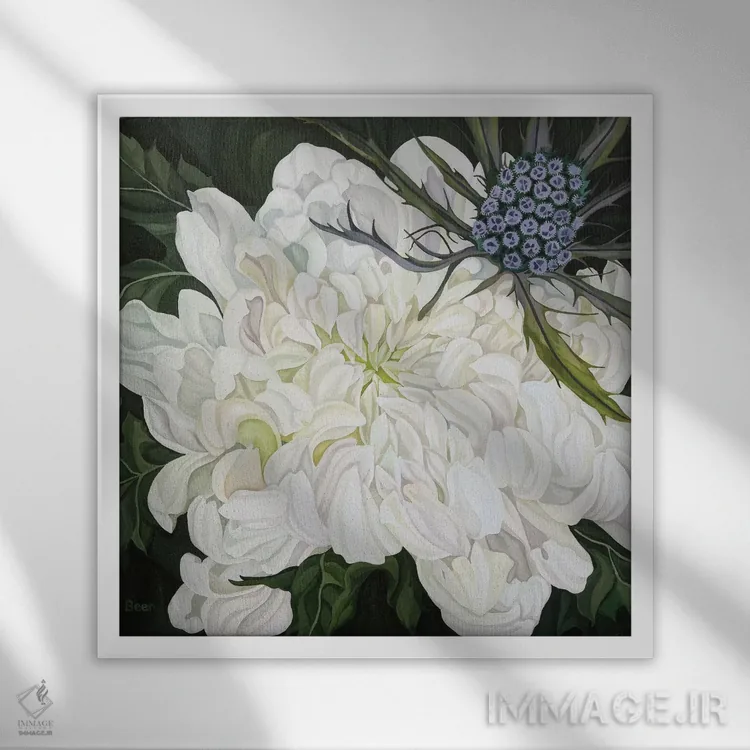 تابلو داوودی با خارمریم کریسمس اثر جو بیر - نمای قابدار سفید