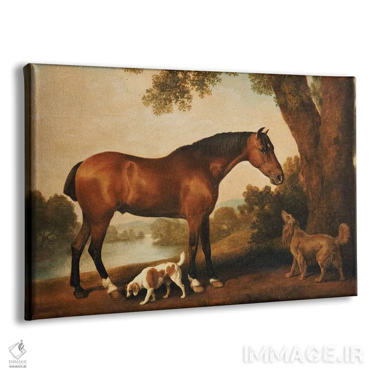 تابلو A Springer Spaniel And A Sussex Spaniel, 1782,یک اسب شکارچی، یک سگ اسپانیل اسپرینگر و یک سگ اسپانیل ساسکس، ۱۷۸۲ اثر جورج استابز (نقاش حیوانات انگلیسی) - نمای پرسپکتیو محصول