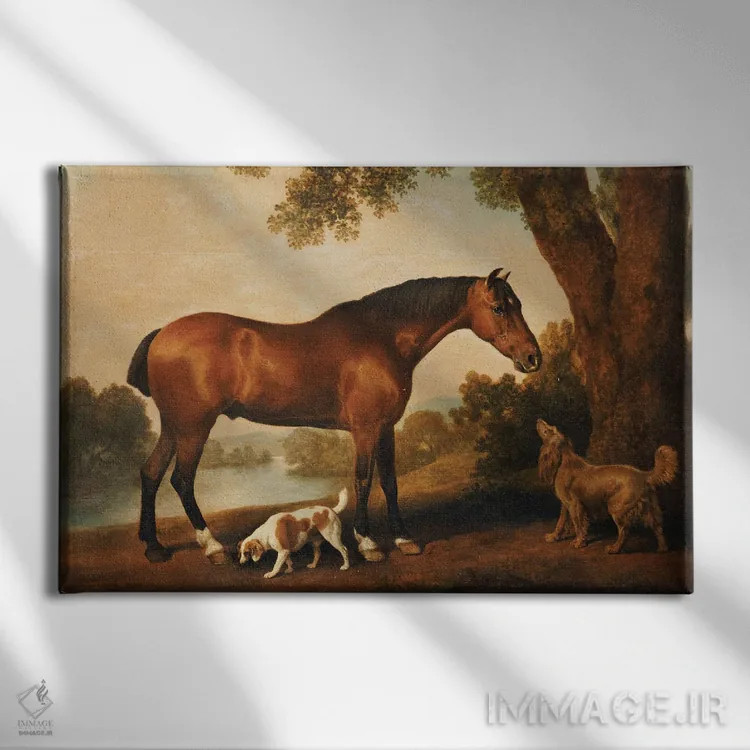 تابلو A Springer Spaniel And A Sussex Spaniel, 1782,یک اسب شکارچی، یک سگ اسپانیل اسپرینگر و یک سگ اسپانیل ساسکس، ۱۷۸۲ اثر جورج استابز (نقاش حیوانات انگلیسی) - نمای روبهرو روی دیوار