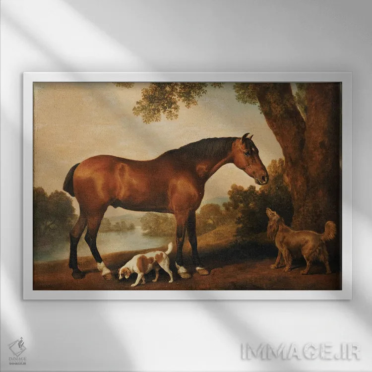 تابلو A Springer Spaniel And A Sussex Spaniel, 1782,یک اسب شکارچی، یک سگ اسپانیل اسپرینگر و یک سگ اسپانیل ساسکس، ۱۷۸۲ اثر جورج استابز (نقاش حیوانات انگلیسی) - نمای قابدار سفید