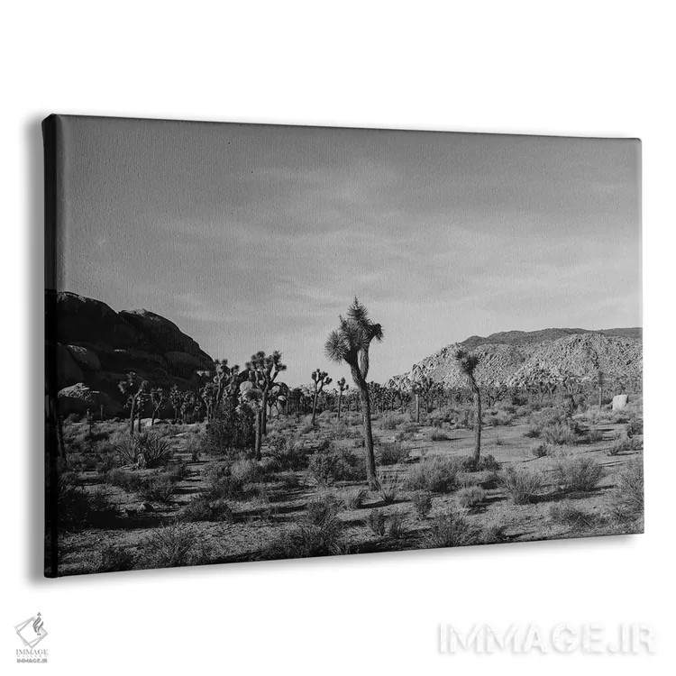 تابلو پارک ملی جاشوا تری سی و یکم اثر بثانی یانگ - نمای پرسپکتیو محصول