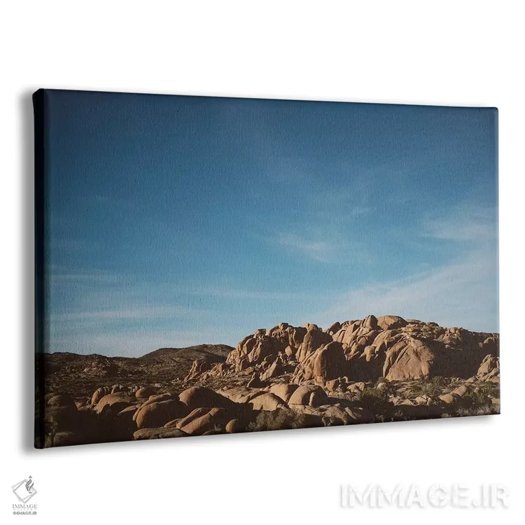 تابلو پارک ملی جاشوا تری سی و دوم اثر بثانی یانگ - نمای پرسپکتیو محصول