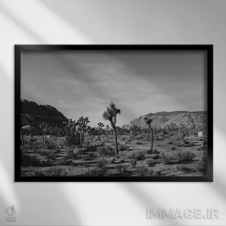 تابلو پارک ملی جاشوا تری سی و یکم اثر بثانی یانگ - نمای قابدار مشکی