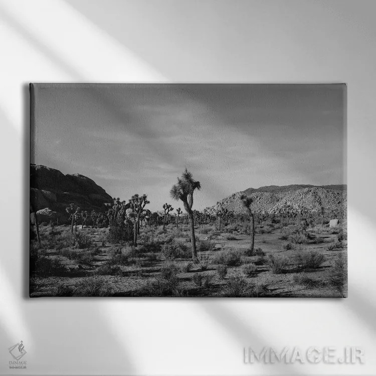 تابلو پارک ملی جاشوا تری سی و یکم اثر بثانی یانگ - نمای روبهرو روی دیوار