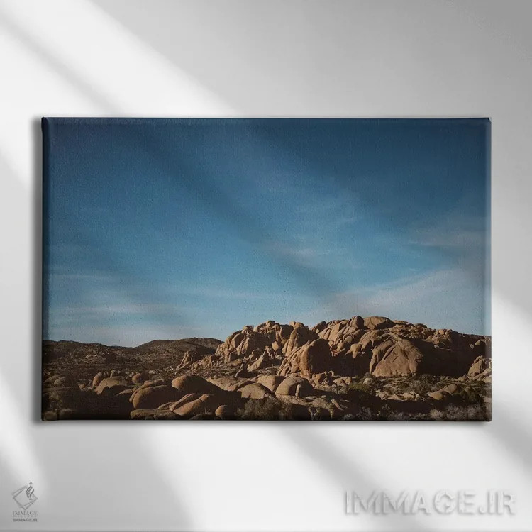 تابلو پارک ملی جاشوا تری سی و دوم اثر بثانی یانگ - نمای روبهرو روی دیوار