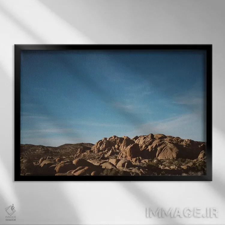 تابلو پارک ملی جاشوا تری سی و دوم اثر بثانی یانگ - نمای قابدار مشکی