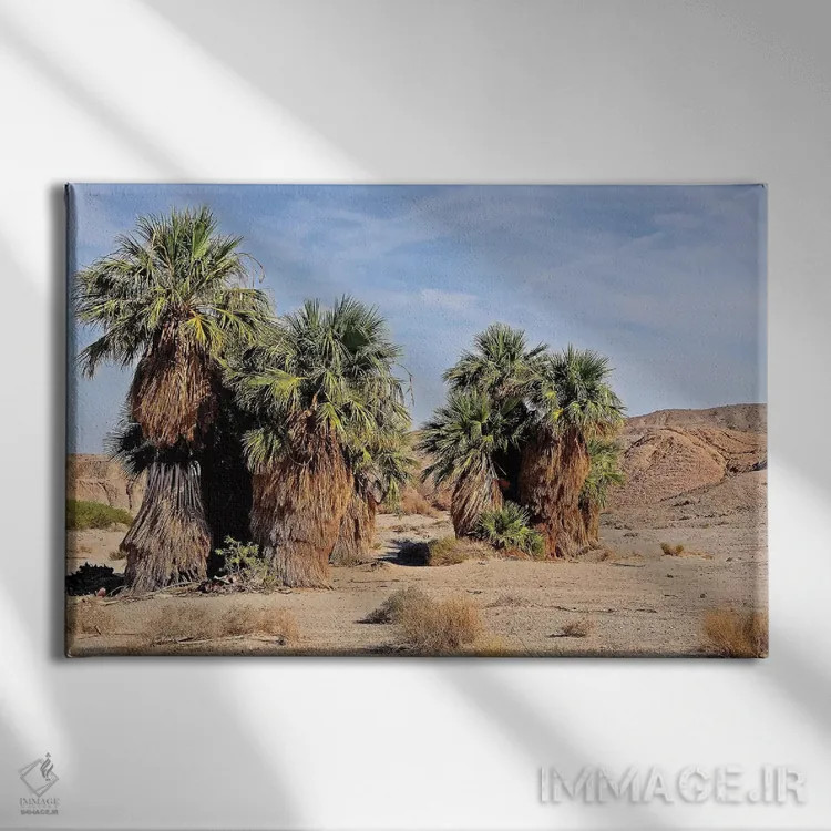 تابلو واحه ۱۷ نخل در انزا بورگو اثر برایان ولف - نمای روبهرو روی دیوار