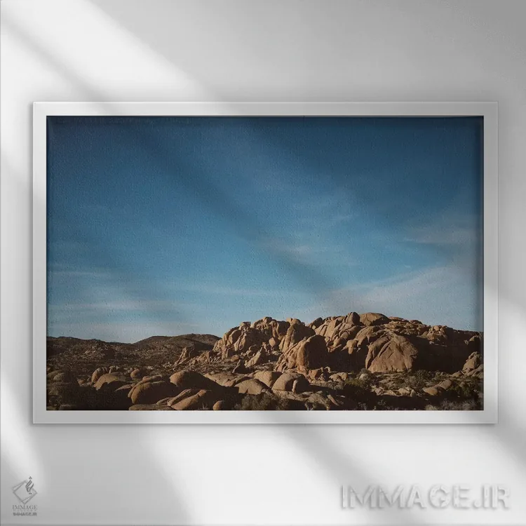 تابلو پارک ملی جاشوا تری سی و دوم اثر بثانی یانگ - نمای قابدار سفید