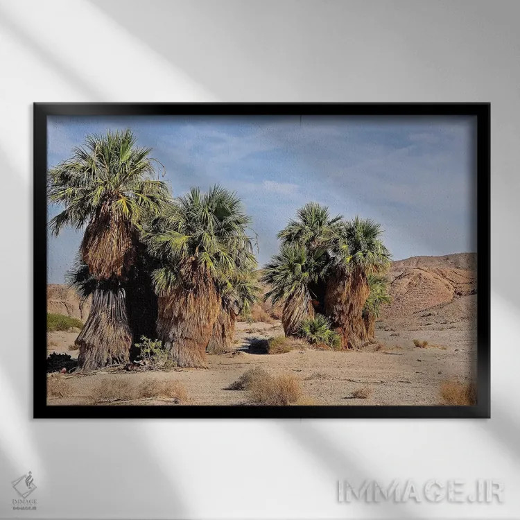 تابلو واحه ۱۷ نخل در انزا بورگو اثر برایان ولف - نمای قابدار مشکی