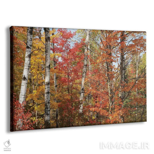 تابلو پالت رنگ پاییزی اثر برایان ولف - نمای پرسپکتیو محصول