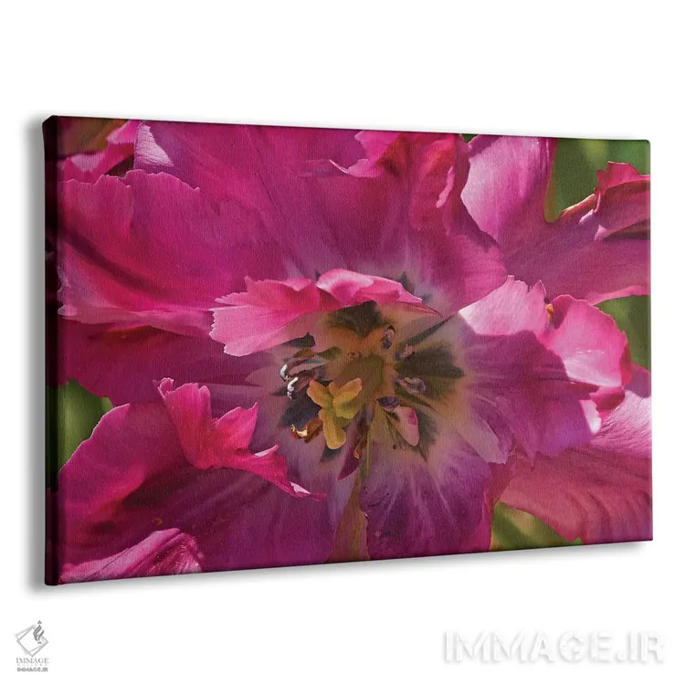 تابلو لاله فانتزی (زینتی) اثر برایان ولف - نمای پرسپکتیو محصول