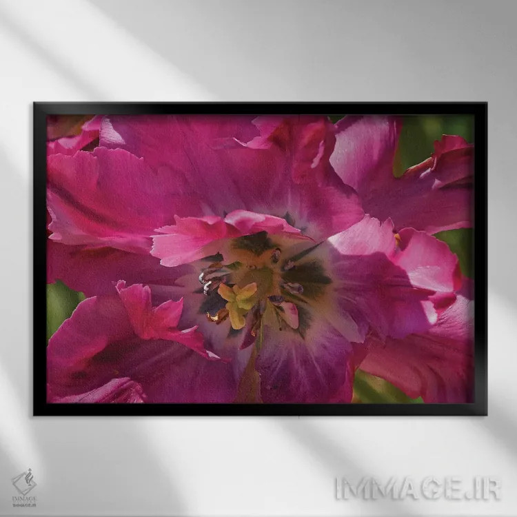 تابلو لاله فانتزی (زینتی) اثر برایان ولف - نمای قابدار مشکی