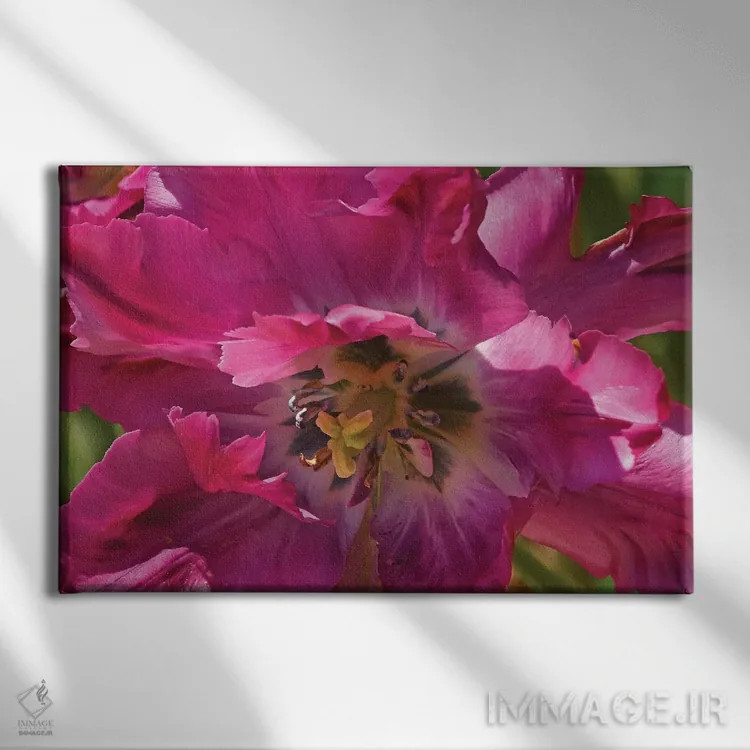 تابلو لاله فانتزی (زینتی) اثر برایان ولف - نمای روبهرو روی دیوار