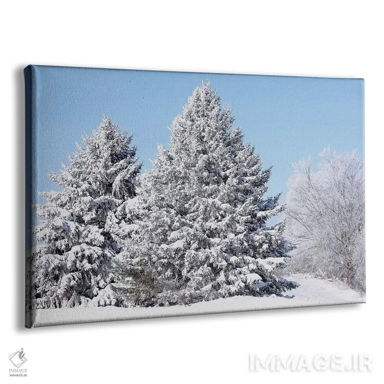 تابلو درختان پوشیده از برف اثر برایان ولف - نمای پرسپکتیو محصول