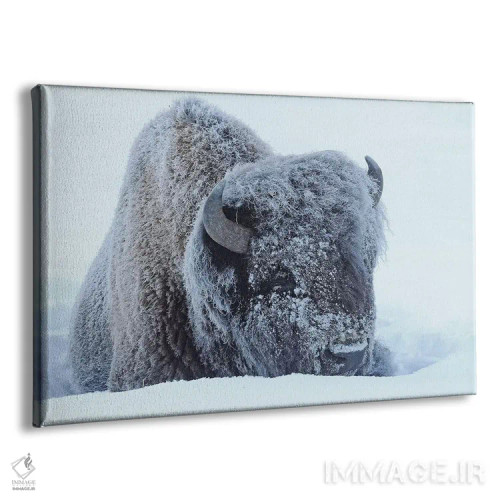 تابلو یخزده اثر برایان ولف - نمای پرسپکتیو محصول