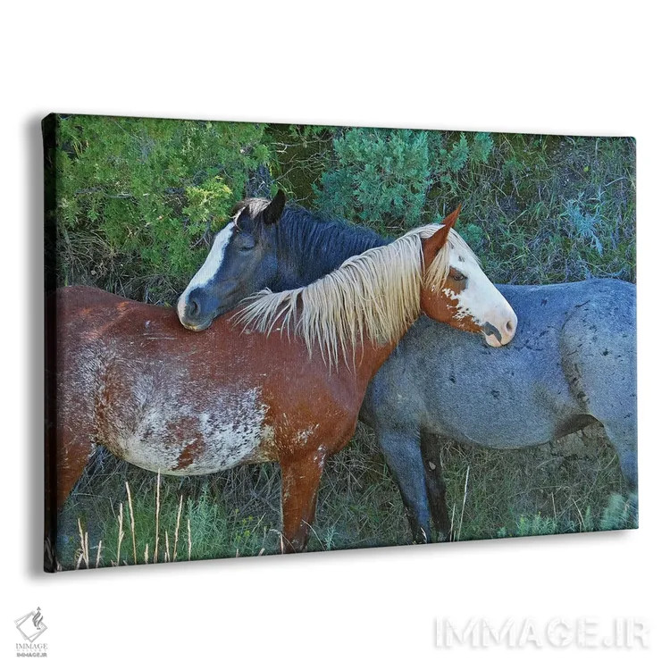 تابلو دوستان اثر برایان ولف - نمای پرسپکتیو محصول