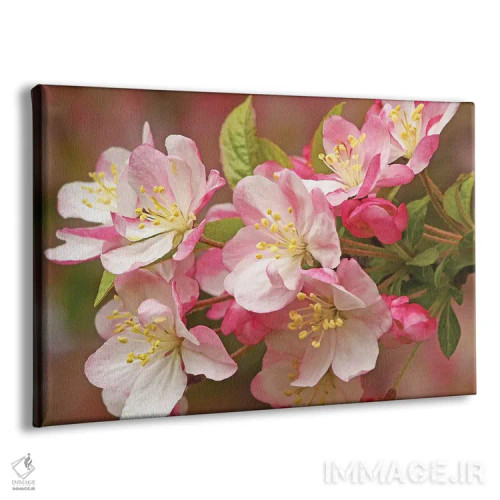 تابلو درخت سیب گلدار وحشی اثر برایان ولف - نمای پرسپکتیو محصول