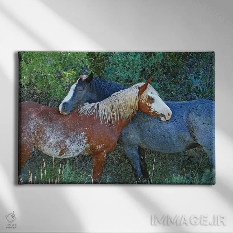 تابلو دوستان اثر برایان ولف - نمای روبهرو روی دیوار