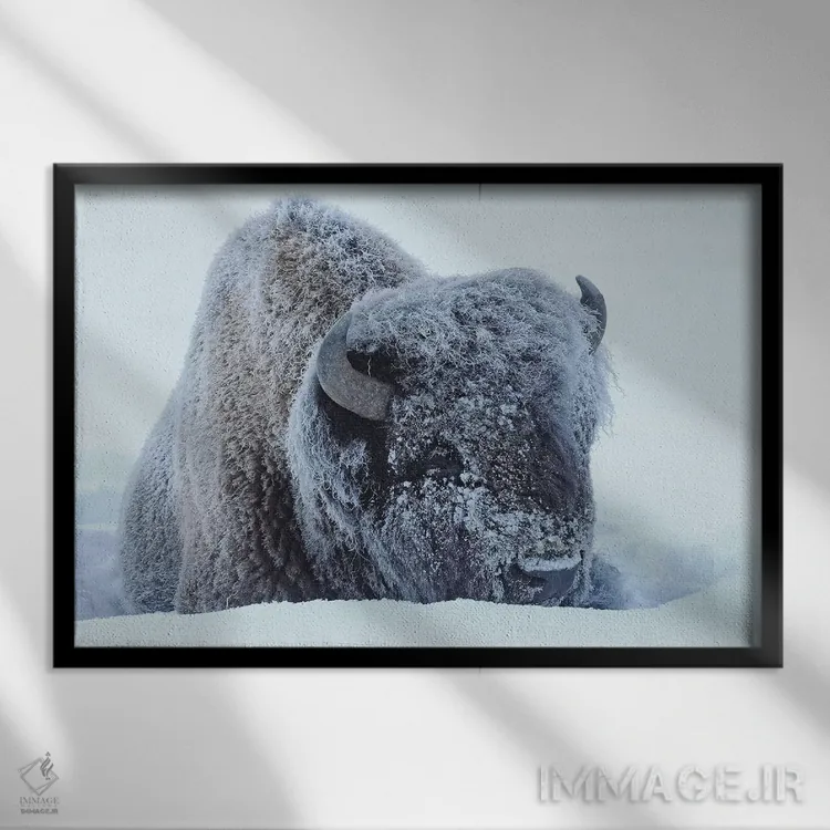 تابلو یخزده اثر برایان ولف - نمای قابدار مشکی