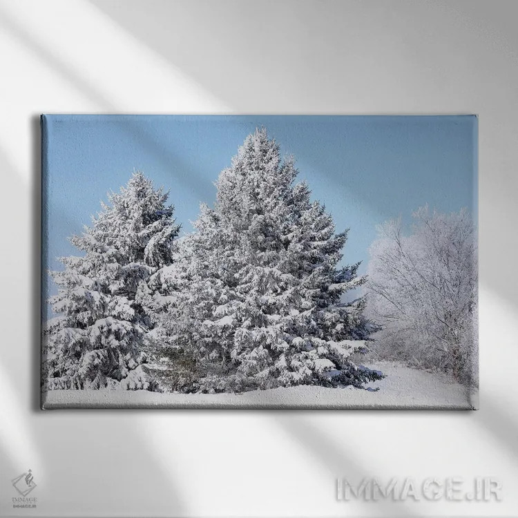 تابلو درختان پوشیده از برف اثر برایان ولف - نمای روبهرو روی دیوار