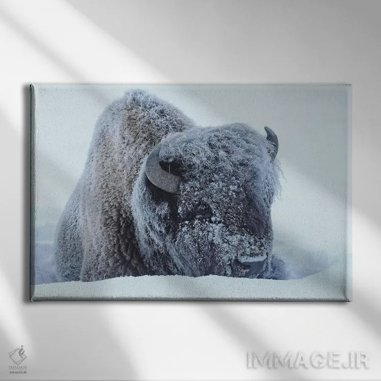 تابلو یخزده اثر برایان ولف - نمای روبهرو روی دیوار