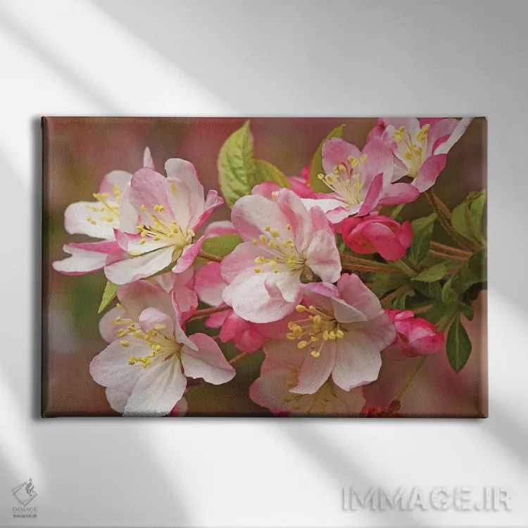 تابلو درخت سیب گلدار وحشی اثر برایان ولف - نمای روبهرو روی دیوار