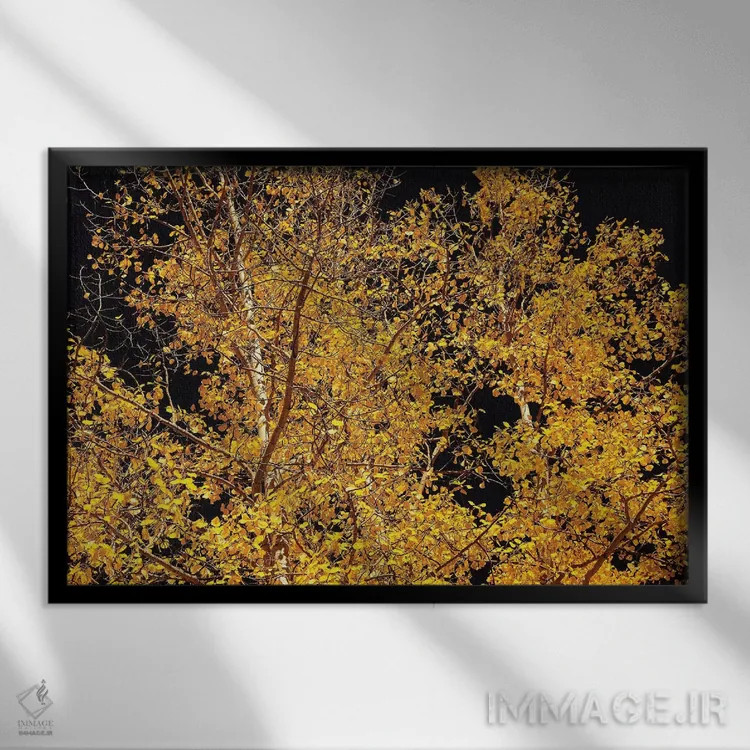تابلو کنتراست صنوبر لرزان اثر برایان ولف - نمای قابدار مشکی