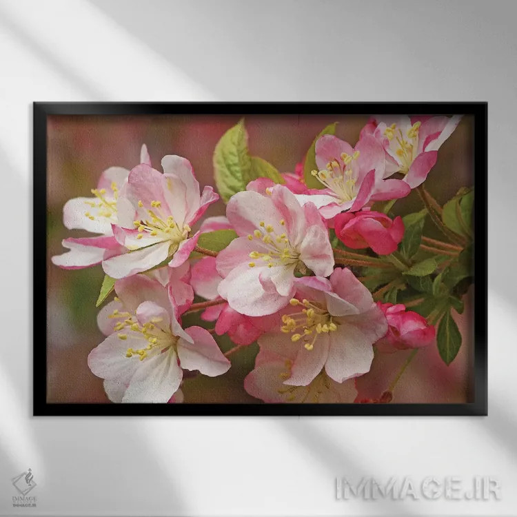 تابلو درخت سیب گلدار وحشی اثر برایان ولف - نمای قابدار مشکی