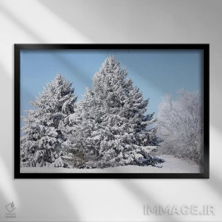 تابلو درختان پوشیده از برف اثر برایان ولف - نمای قابدار مشکی