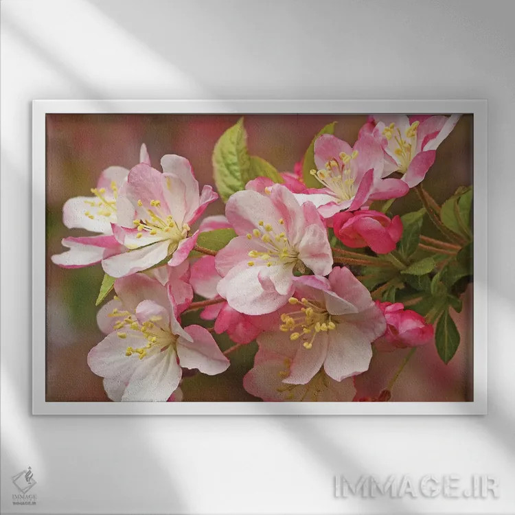 تابلو درخت سیب گلدار وحشی اثر برایان ولف - نمای قابدار سفید