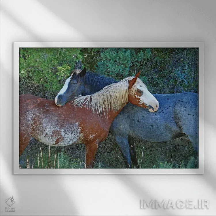 تابلو دوستان اثر برایان ولف - نمای قابدار سفید