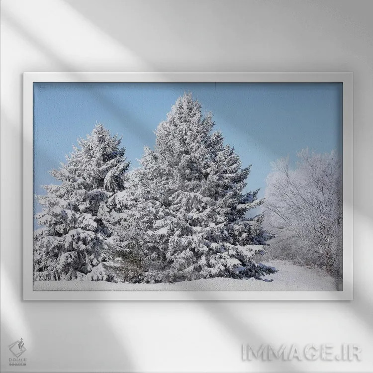 تابلو درختان پوشیده از برف اثر برایان ولف - نمای قابدار سفید