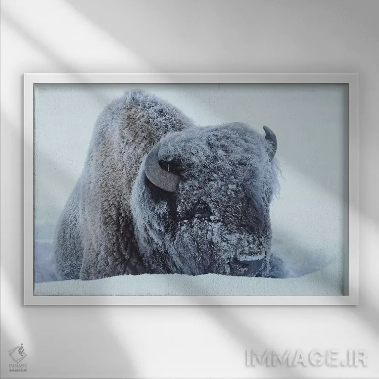 تابلو یخزده اثر برایان ولف - نمای قابدار سفید