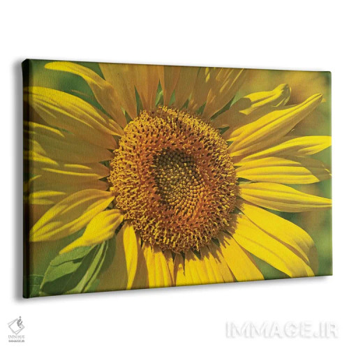 تابلو آفتابگردان طلایی اثر برایان ولف - نمای پرسپکتیو محصول