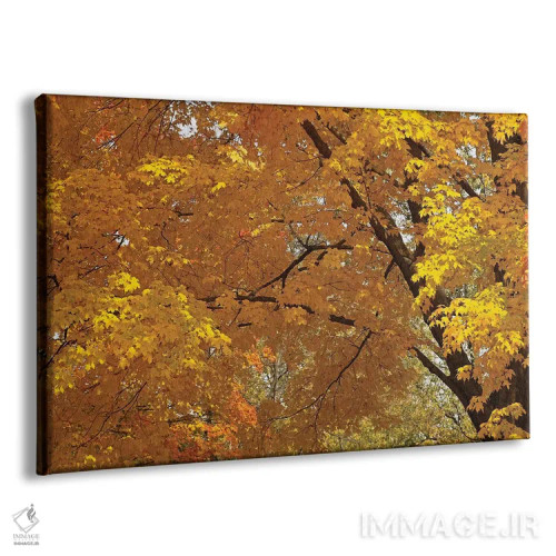 تابلو سقف طلایی طبیعت اثر برایان ولف - نمای پرسپکتیو محصول